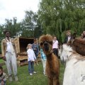 IMG_909657