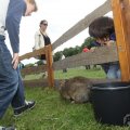 IMG_909659