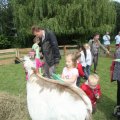 IMG_909678