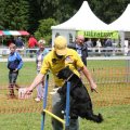 IMG_909728