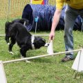 IMG_909733
