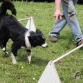 IMG_909734