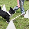 IMG_909735
