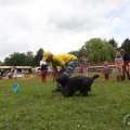 IMG_909769
