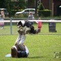 IMG_909826