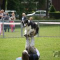 IMG_909828