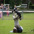 IMG_909829