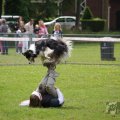 IMG_909835
