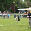 IMG_909838