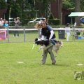 IMG_909841
