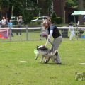 IMG_909842