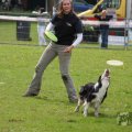 IMG_909843