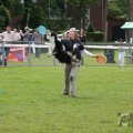 IMG_909844