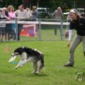 IMG_909846