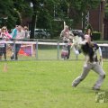 IMG_909847