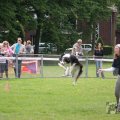 IMG_909850