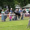 IMG_909851