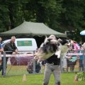 IMG_909852