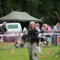 IMG_909853