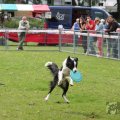 IMG_909865