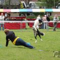 IMG_909868