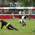 IMG_909869