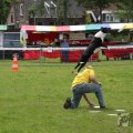 IMG_909886