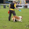 IMG_909909