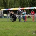 IMG_910012