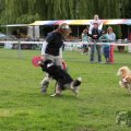 IMG_910027