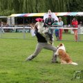 IMG_910030