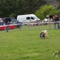 IMG_910039