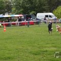 IMG_910041