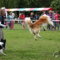 IMG_910043