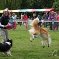 IMG_910044