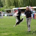 IMG_910045