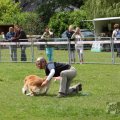 IMG_910057