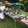 IMG_910126
