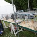 IMG_910135