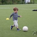 IMG_909445