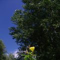 00105G2012