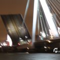 IMG_7577