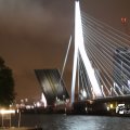 IMG_7581