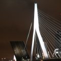 IMG_7587