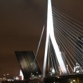IMG_7588