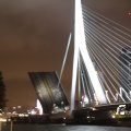 IMG_7590