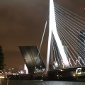 IMG_7591