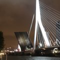 IMG_7592