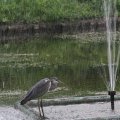 IMG_924818