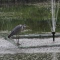 IMG_924819